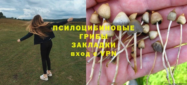 наркотики Бородино